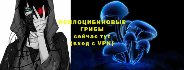 соль ск Магас